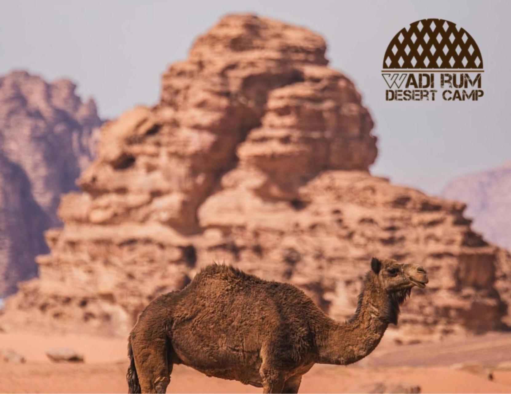 Wadi Rum Desert Camp エクステリア 写真